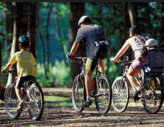 Sorties en famille dans les landes